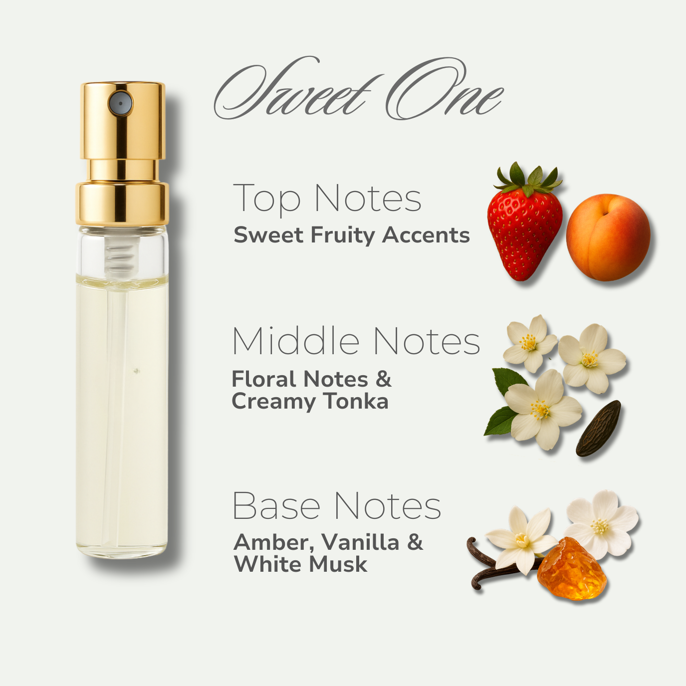 Fragrance Base Discovery Kit