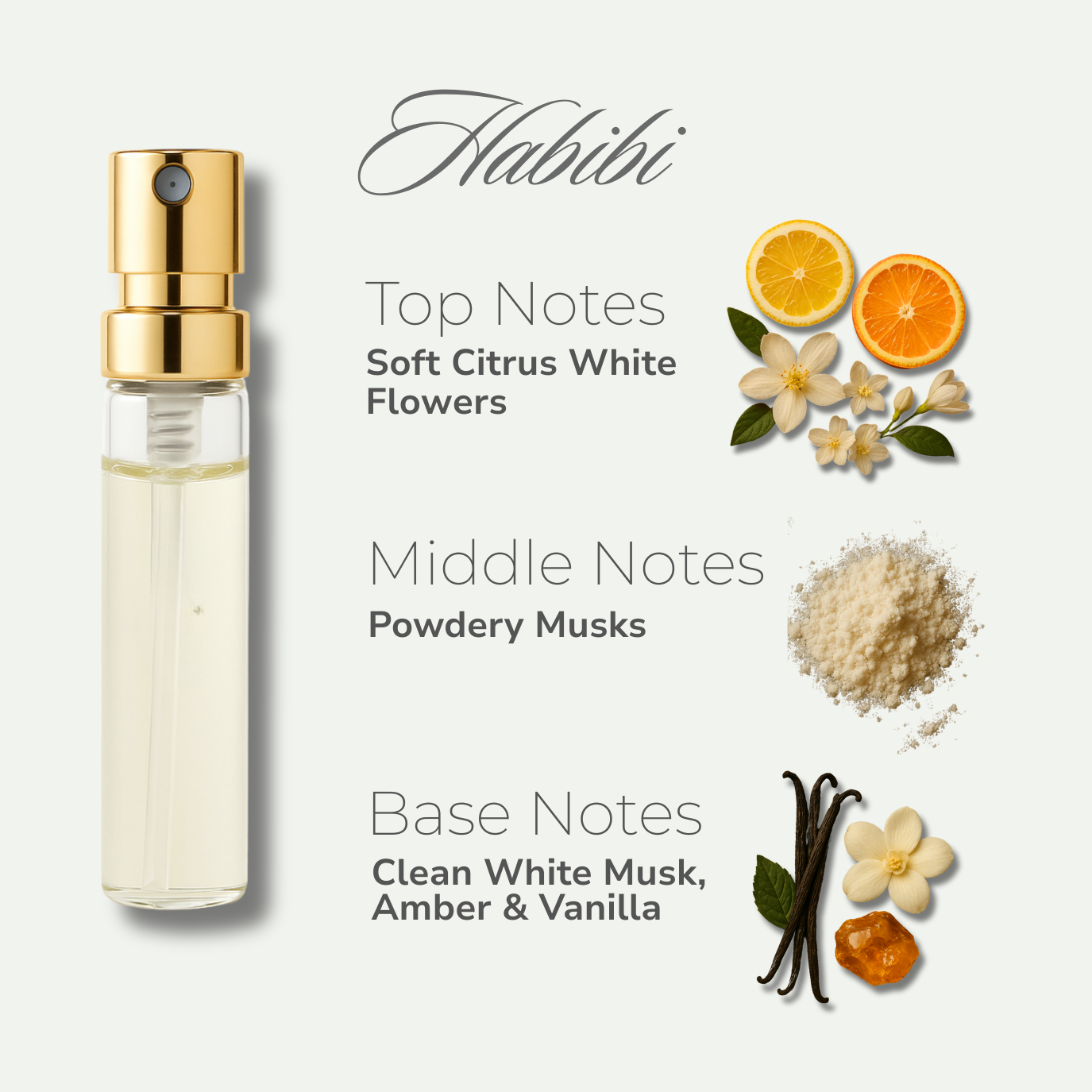 Fragrance Base Discovery Kit