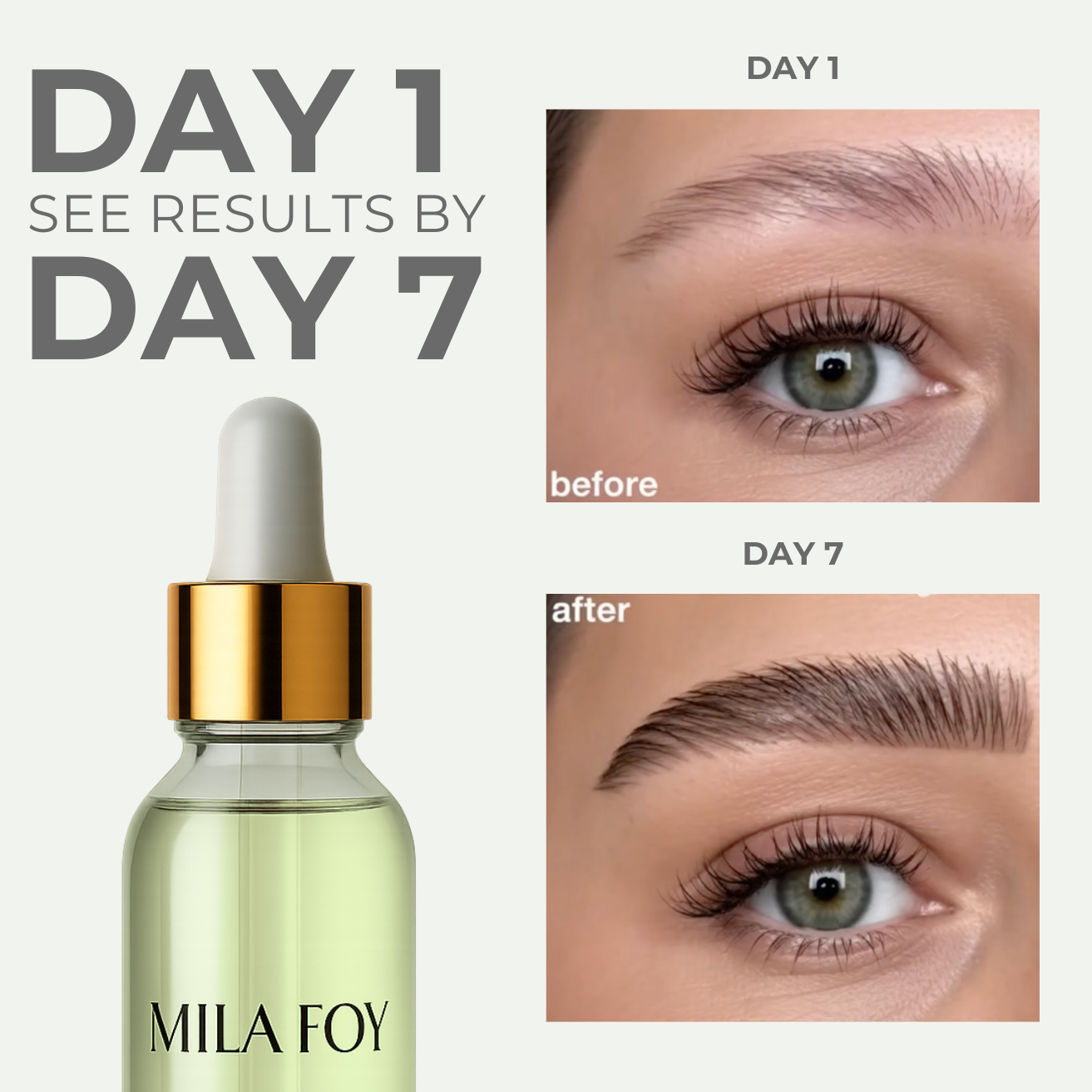 Brow & Lash Oil